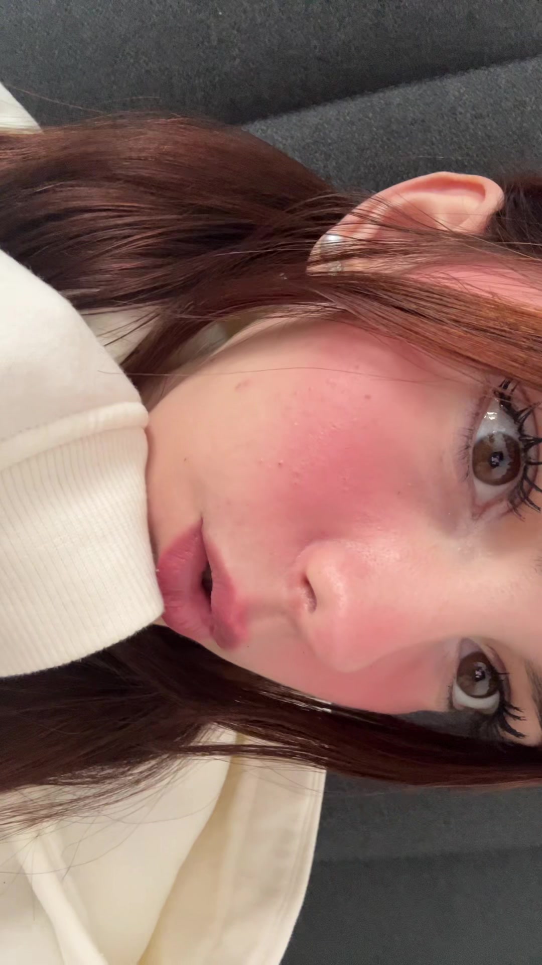 @≽^• ˕ • ྀི≼