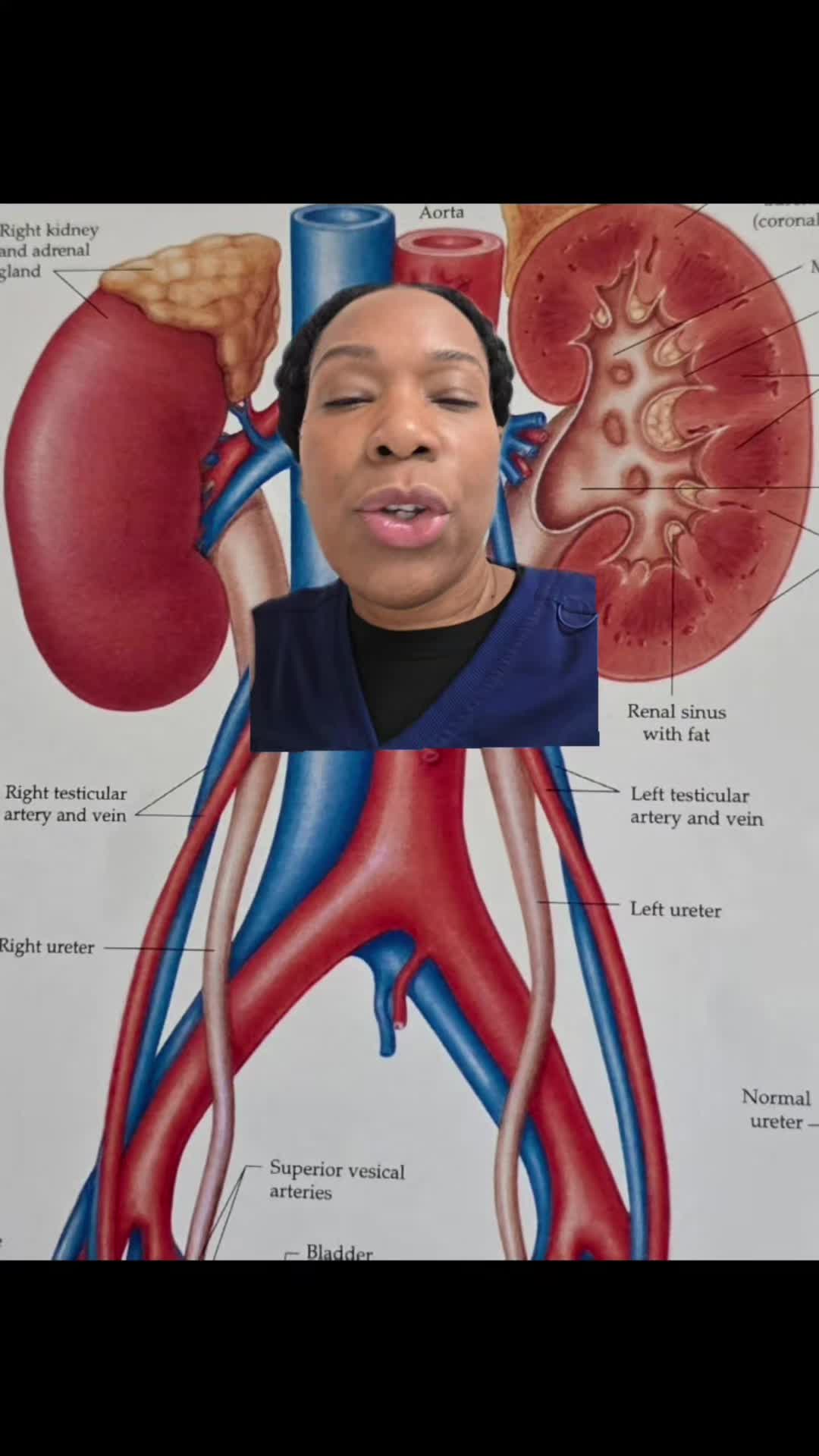 @LavetteTheeEducatorRNNP