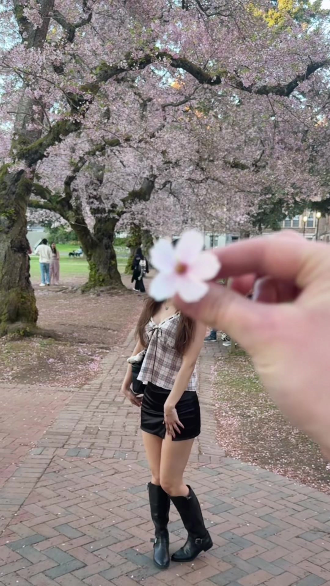 @saleena ⋆ ₊ ﾟ ☽