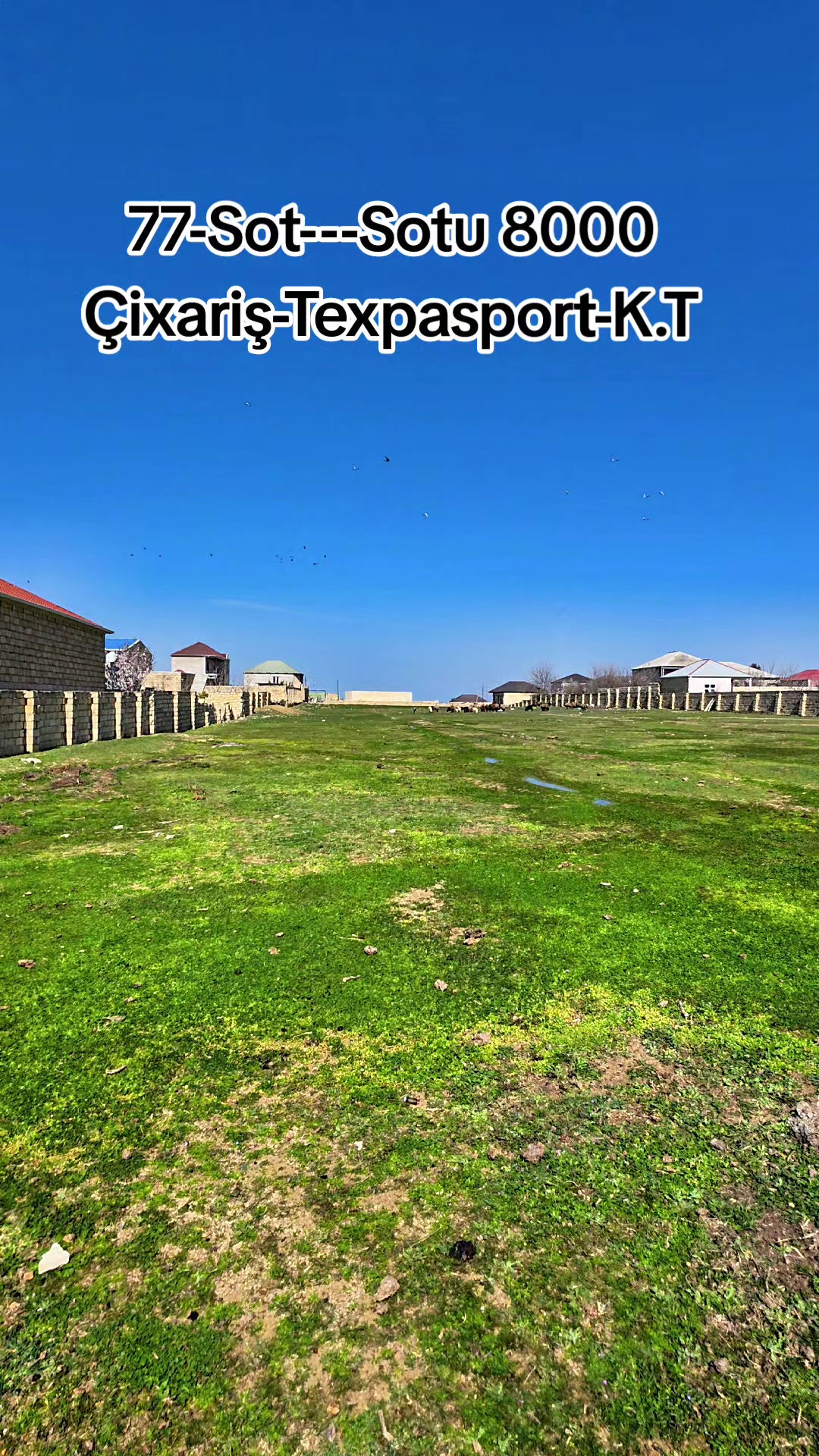 @sarayda_torpaqlar
