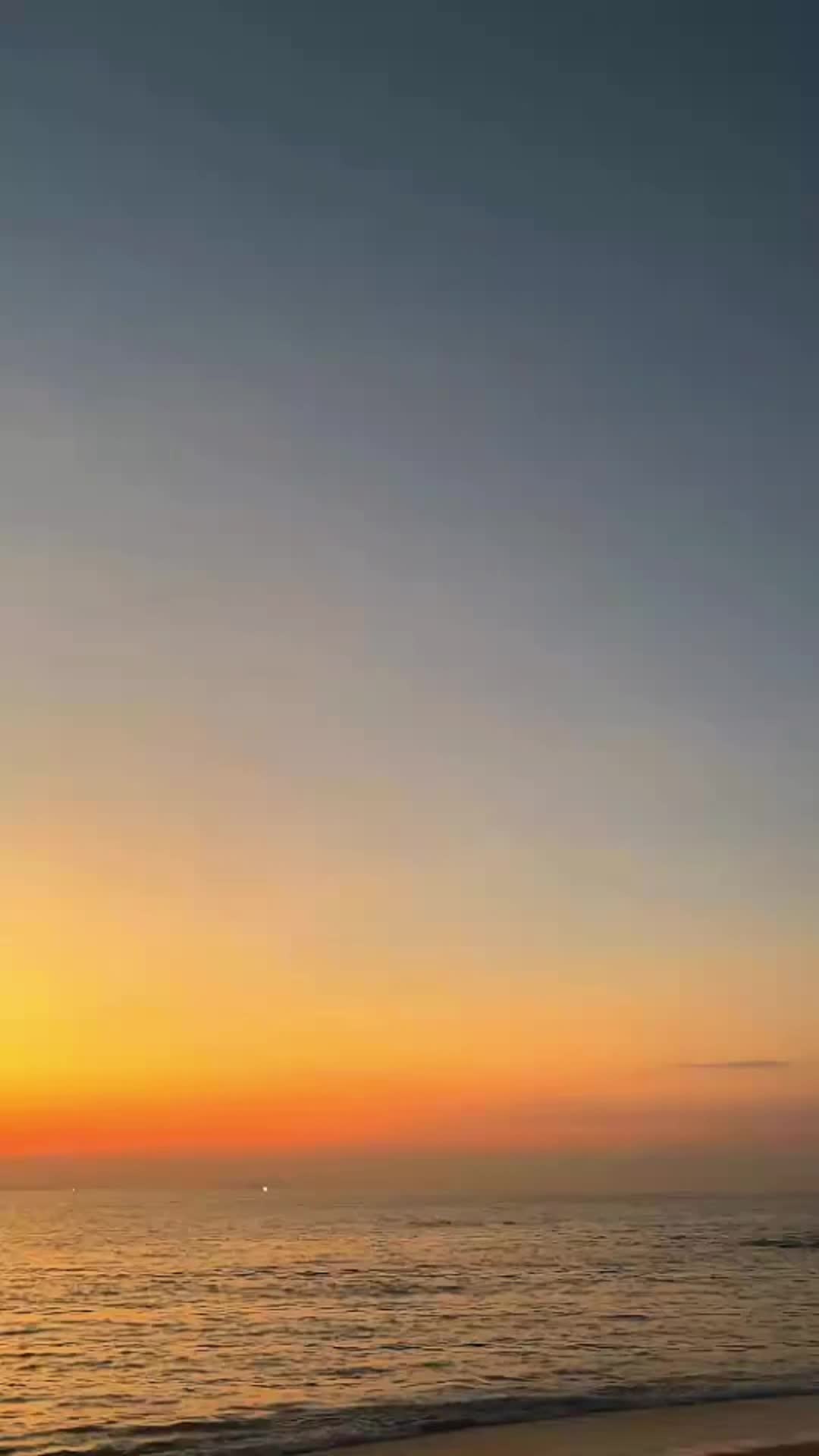 @Wilawan_03