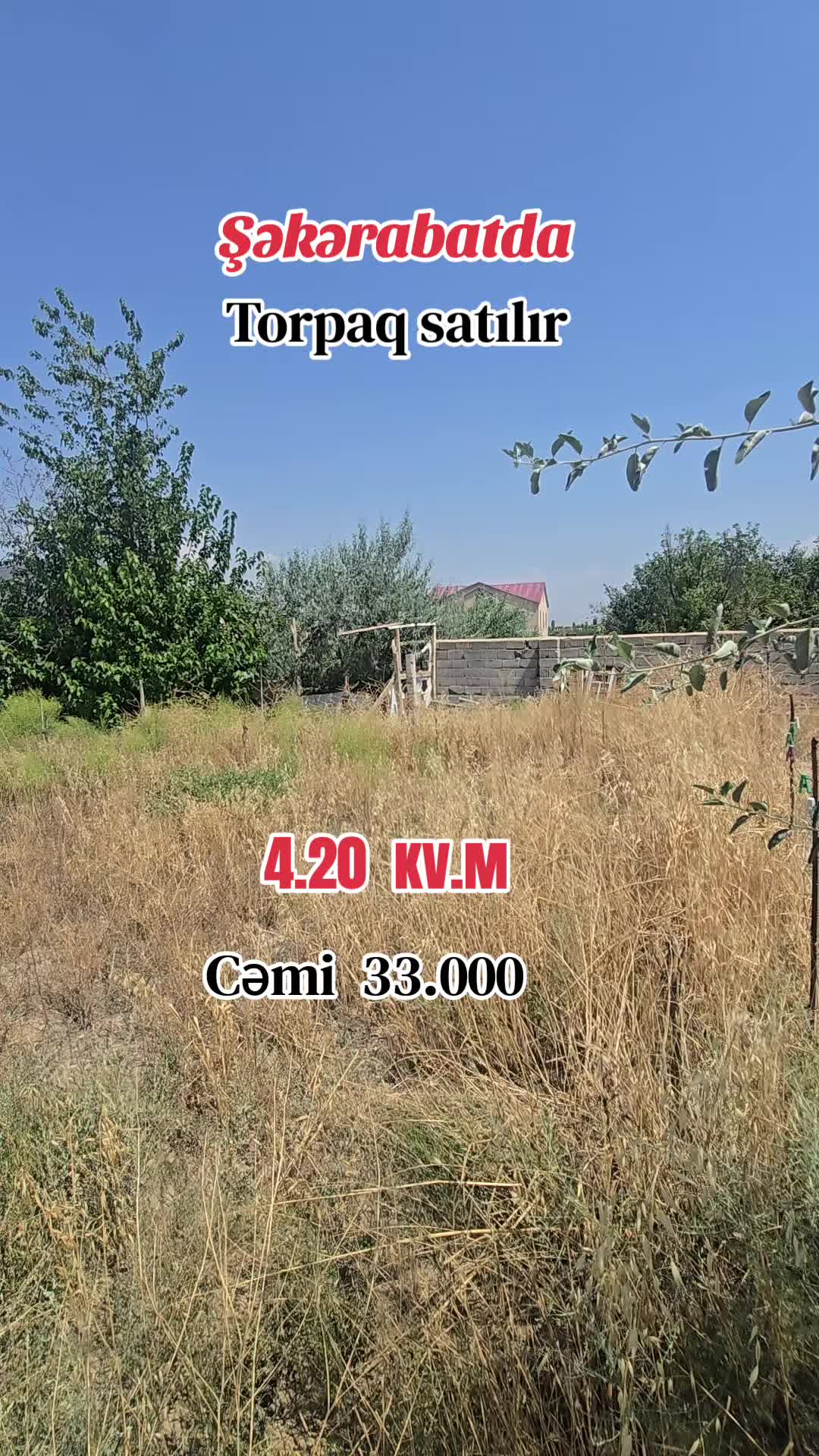 @Guven emlak Mahir