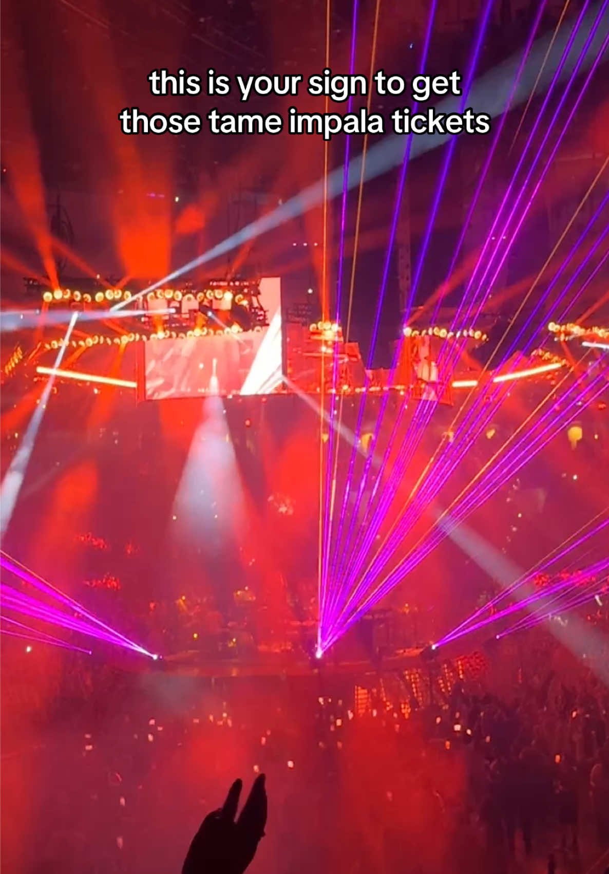 @P 🦋