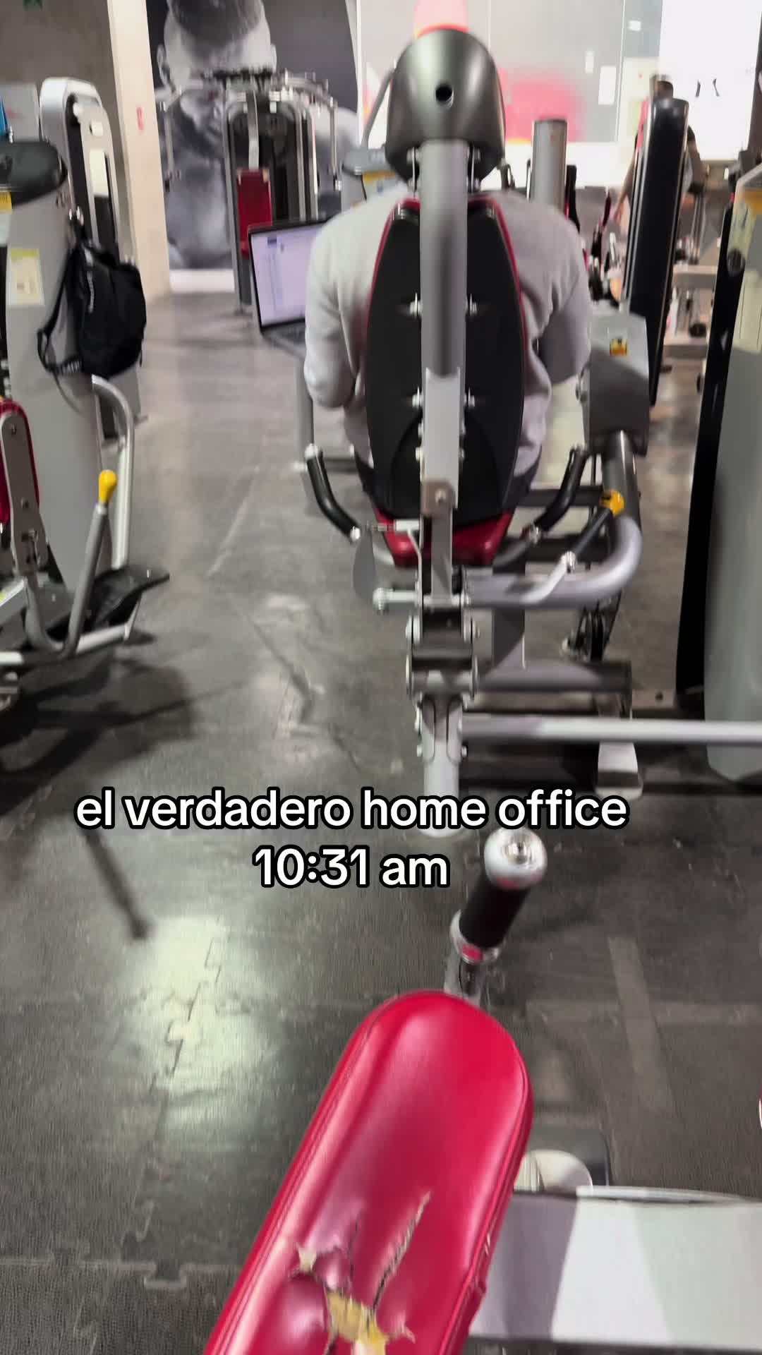 @Diana Laura Mena