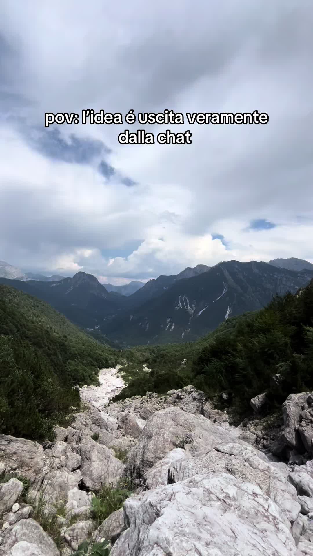 @abi