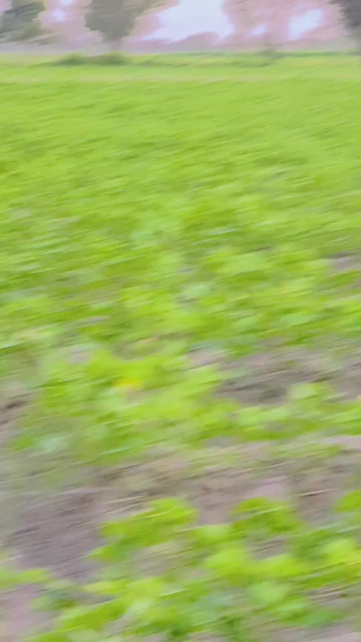 @deenmuhammadkhask8
