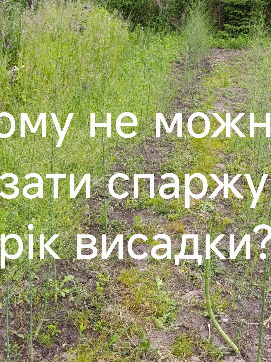 @Олег