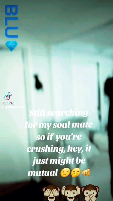 @Diane aka Blu 💎 searching 4💙