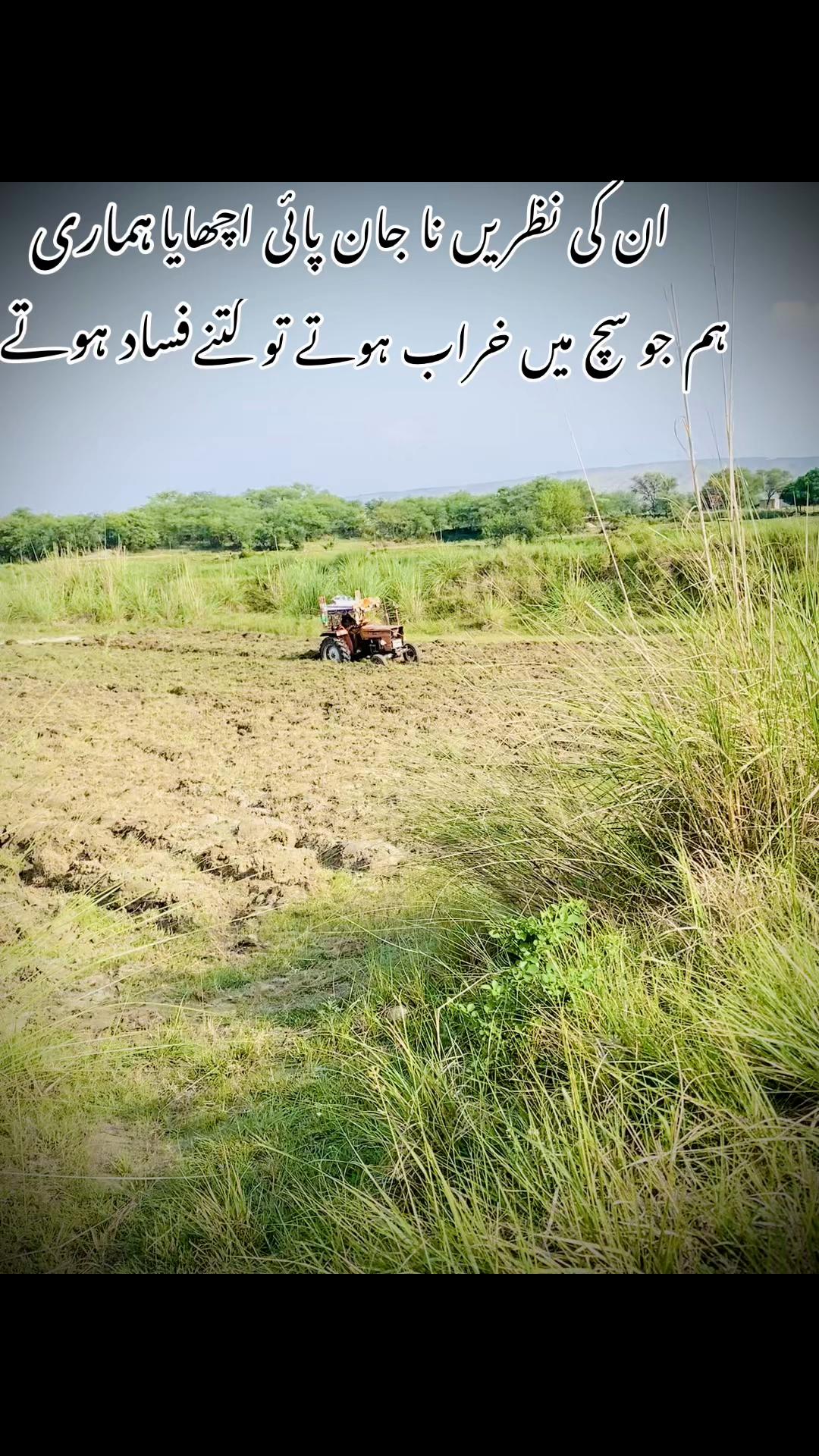 @اعوان زرعی فارم 🌾