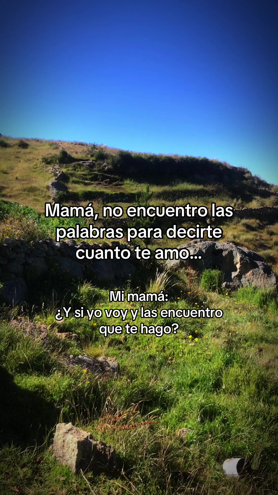 @Un Motero Más