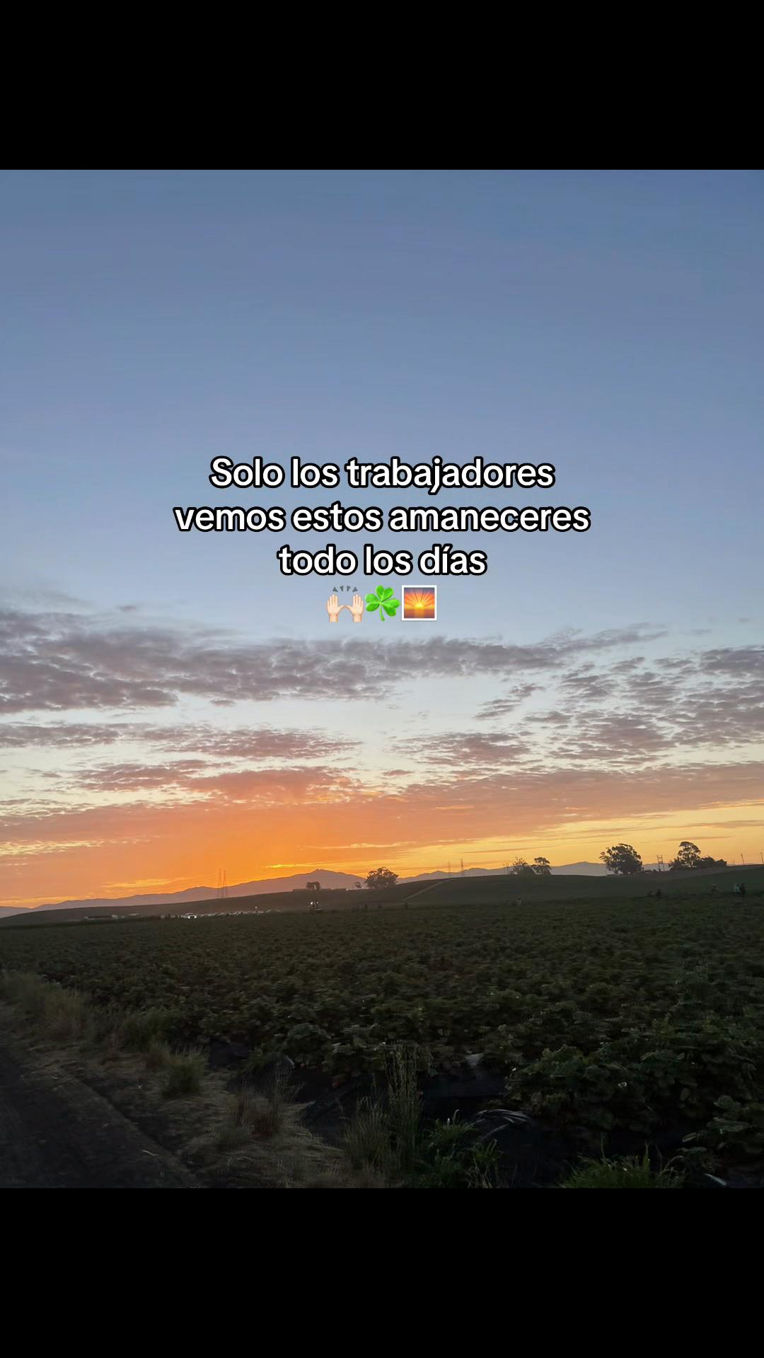 @|&bull; 𝐒𝟒𝐀𝐍𝐓𝐈𝐀𝐆𝐎𝐎𝐗_👻