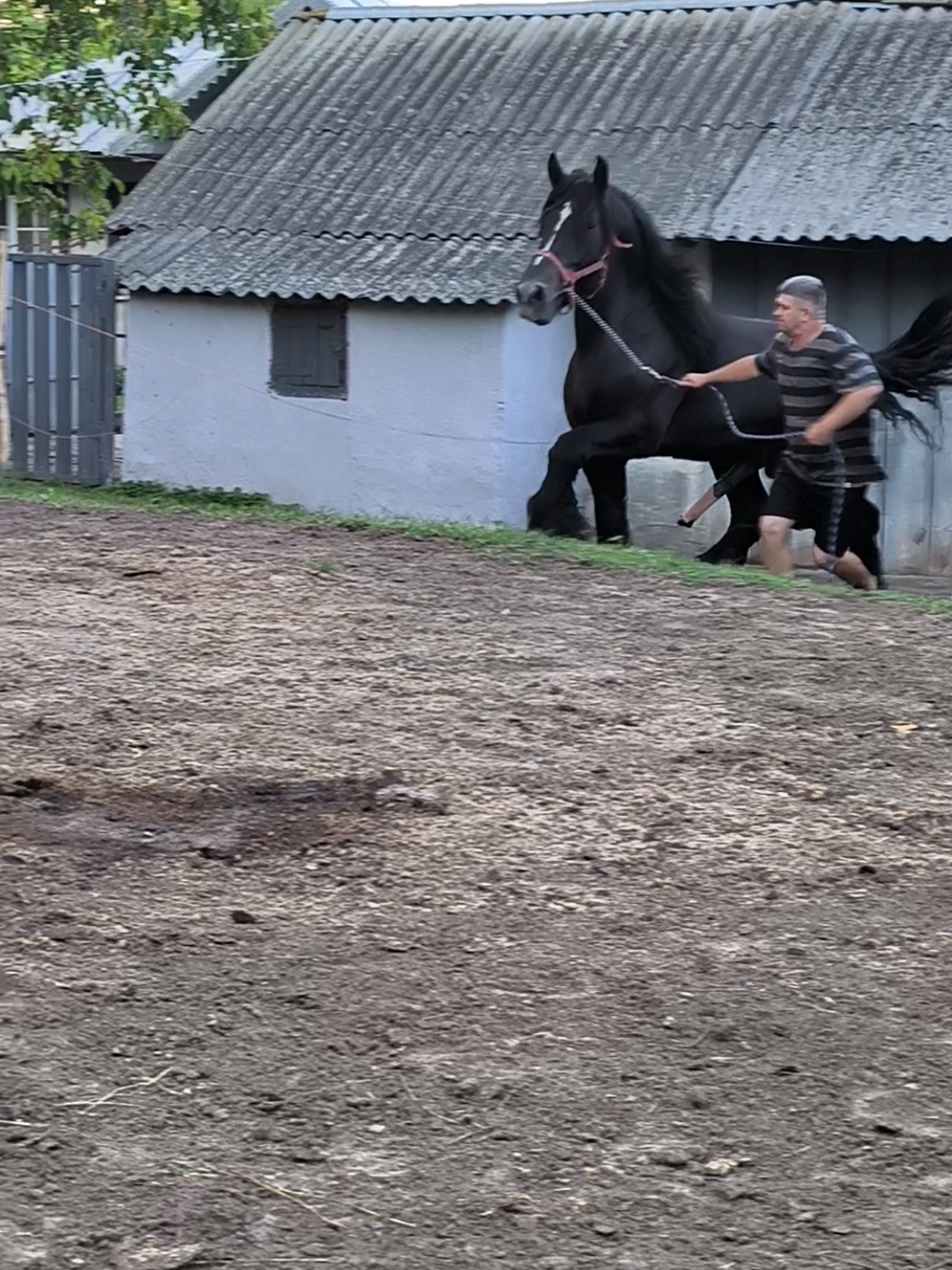 @ВАСЯ БОЙЧУК 🐎