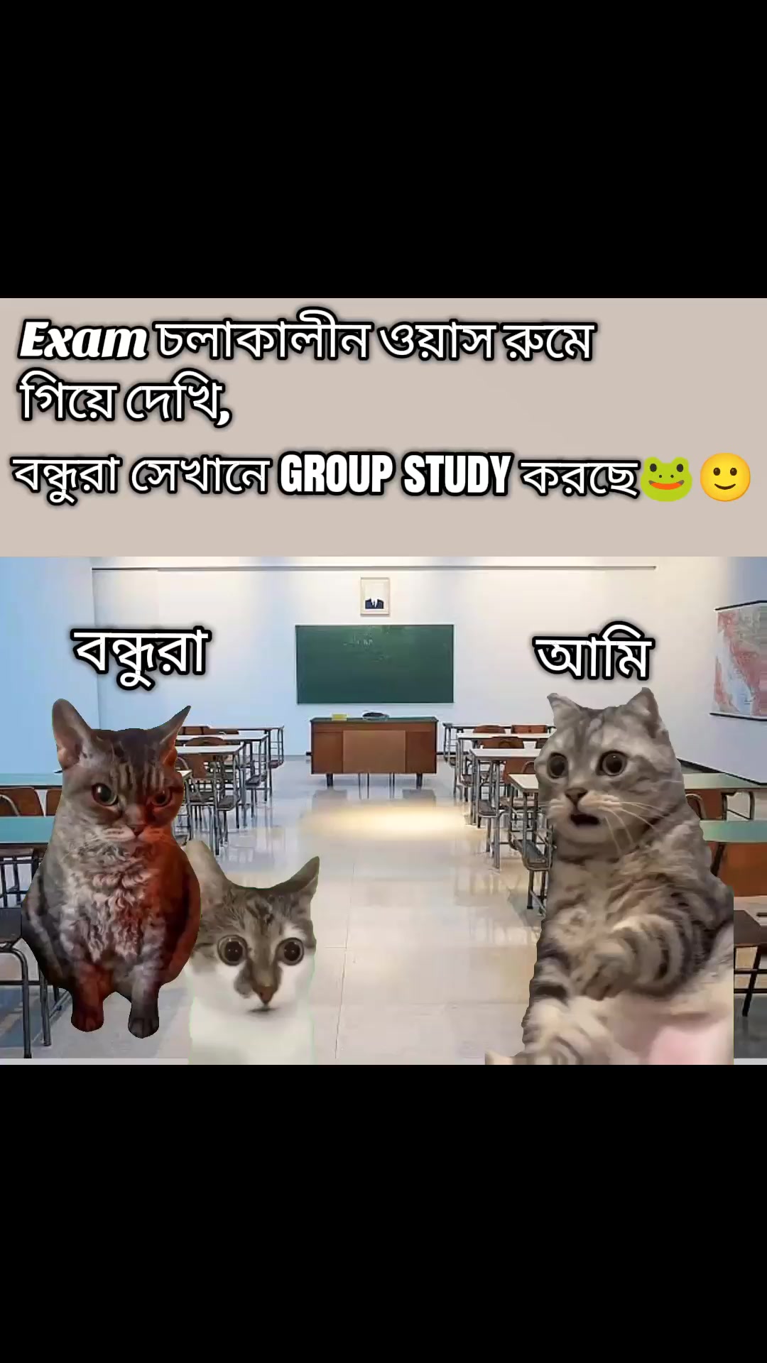 @RONOK MIRZA