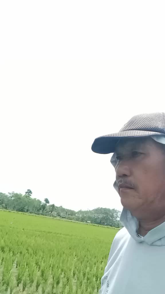 @seter