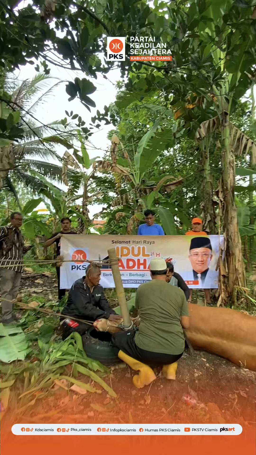 @INFO PKS Ciamis