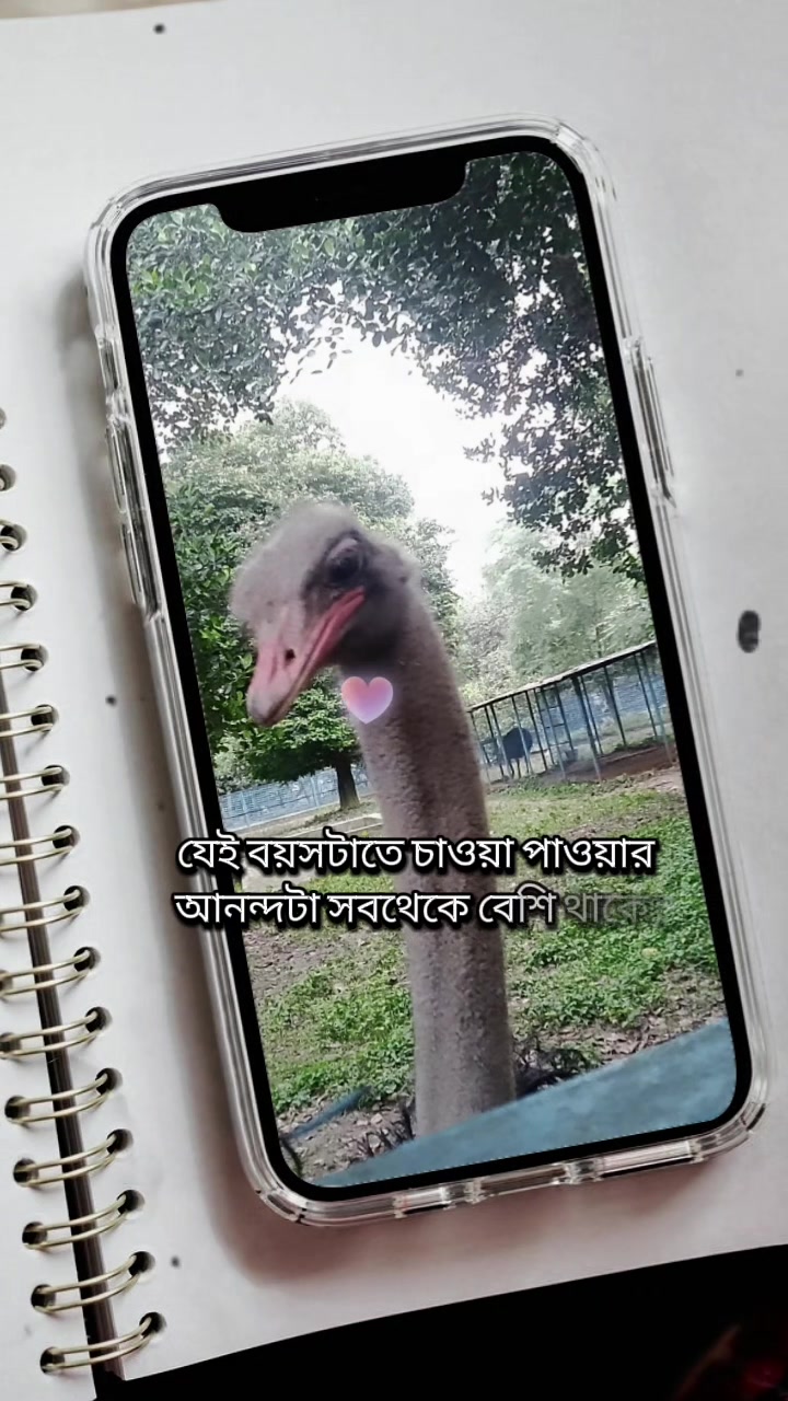@❤️আয়ানের আম্মু❤️