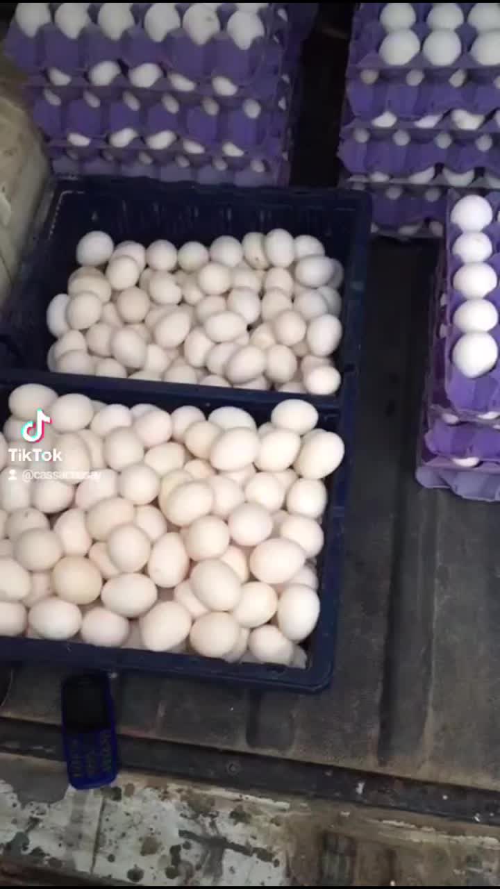 @cassaceesaybossladymoves