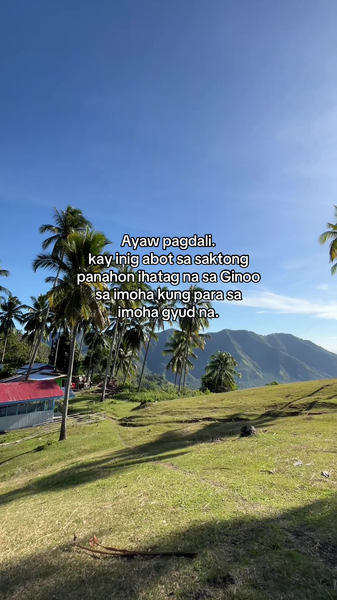@Jibbydigan