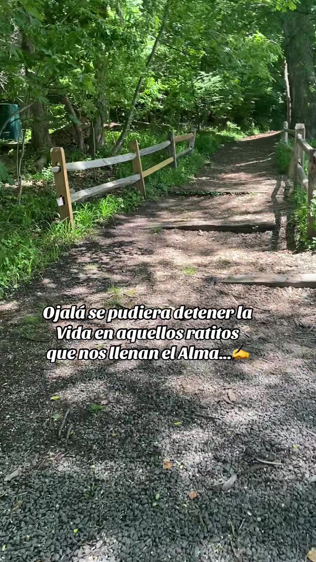 @💛Bonita_Girasol91