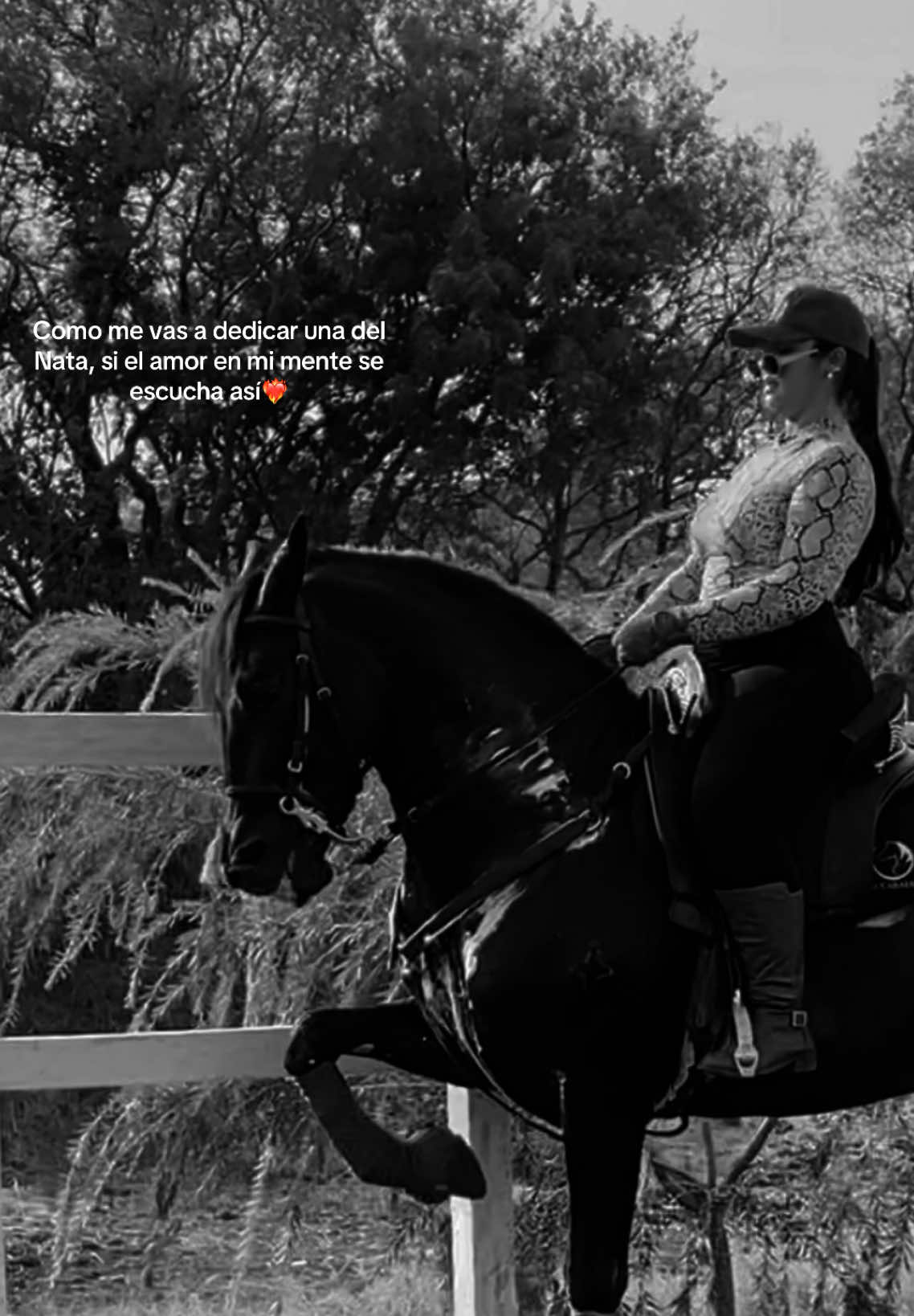 @Lau 🏇