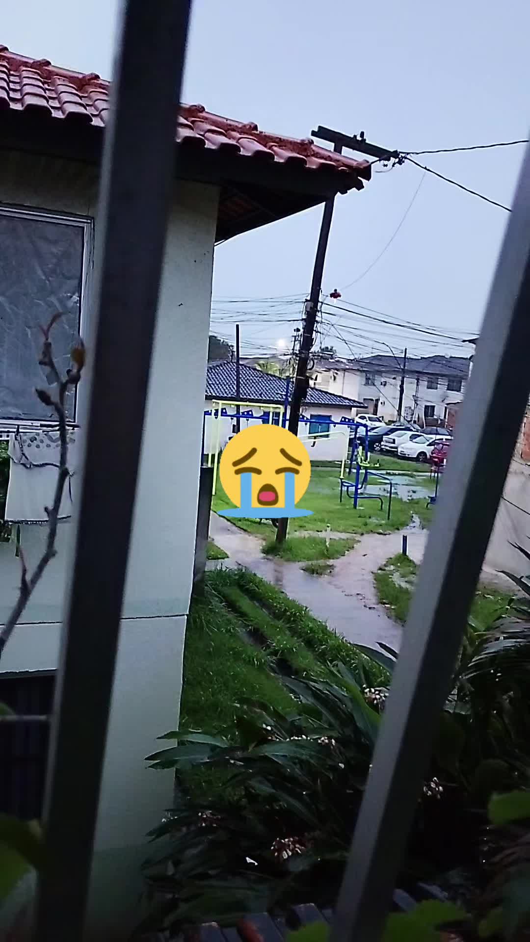 @Eliane Santos