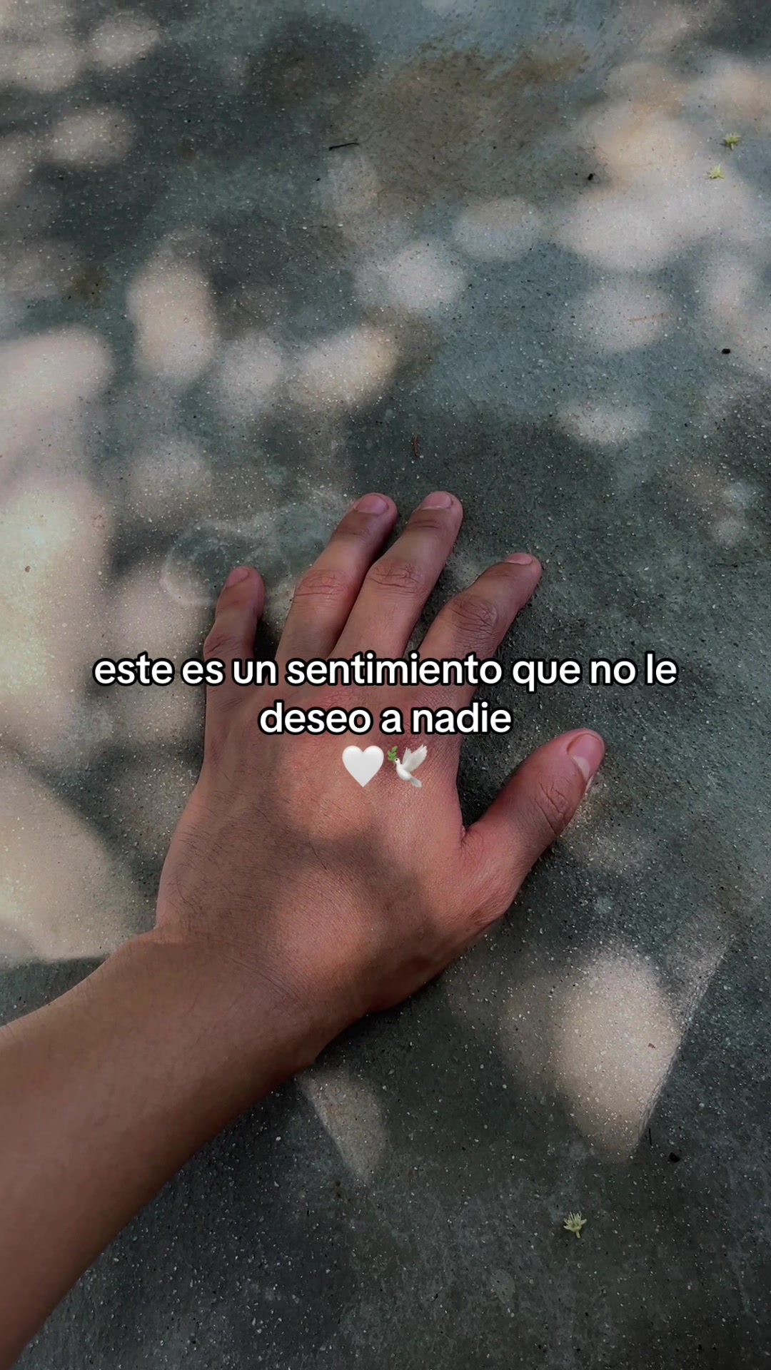 @soy Adry ❤️🩹