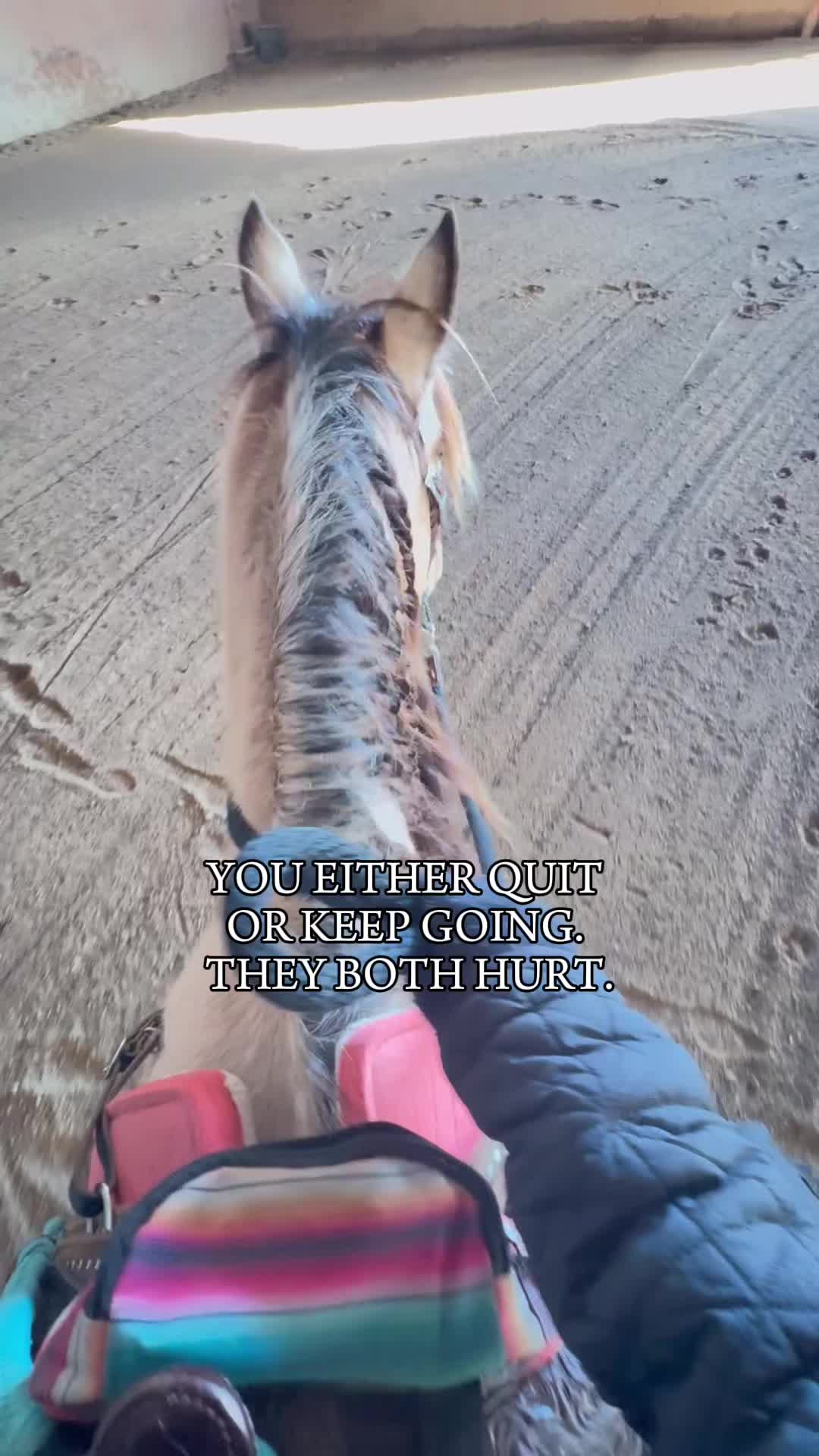 @tiredponygirl