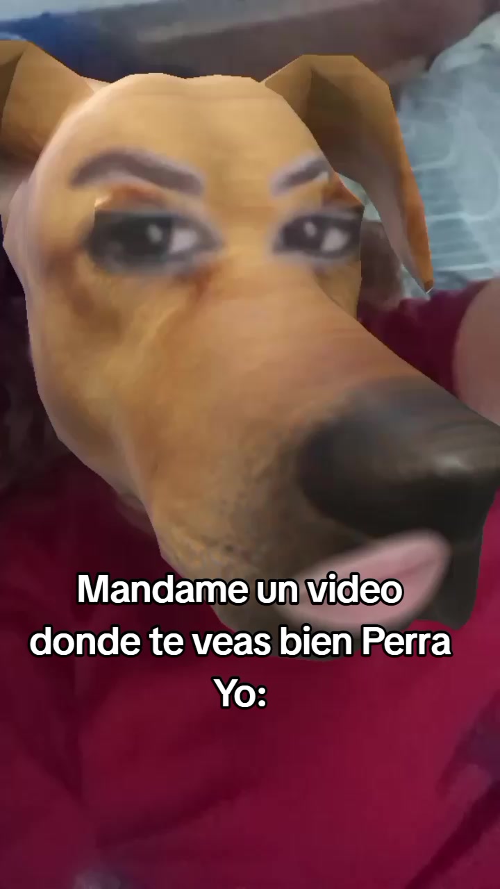 @Yaniluxas