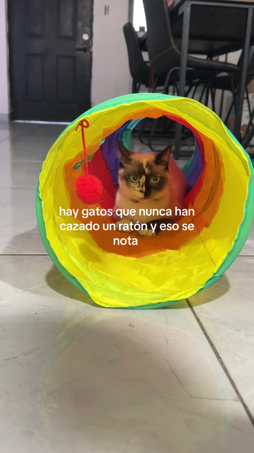 @Guimary 💫