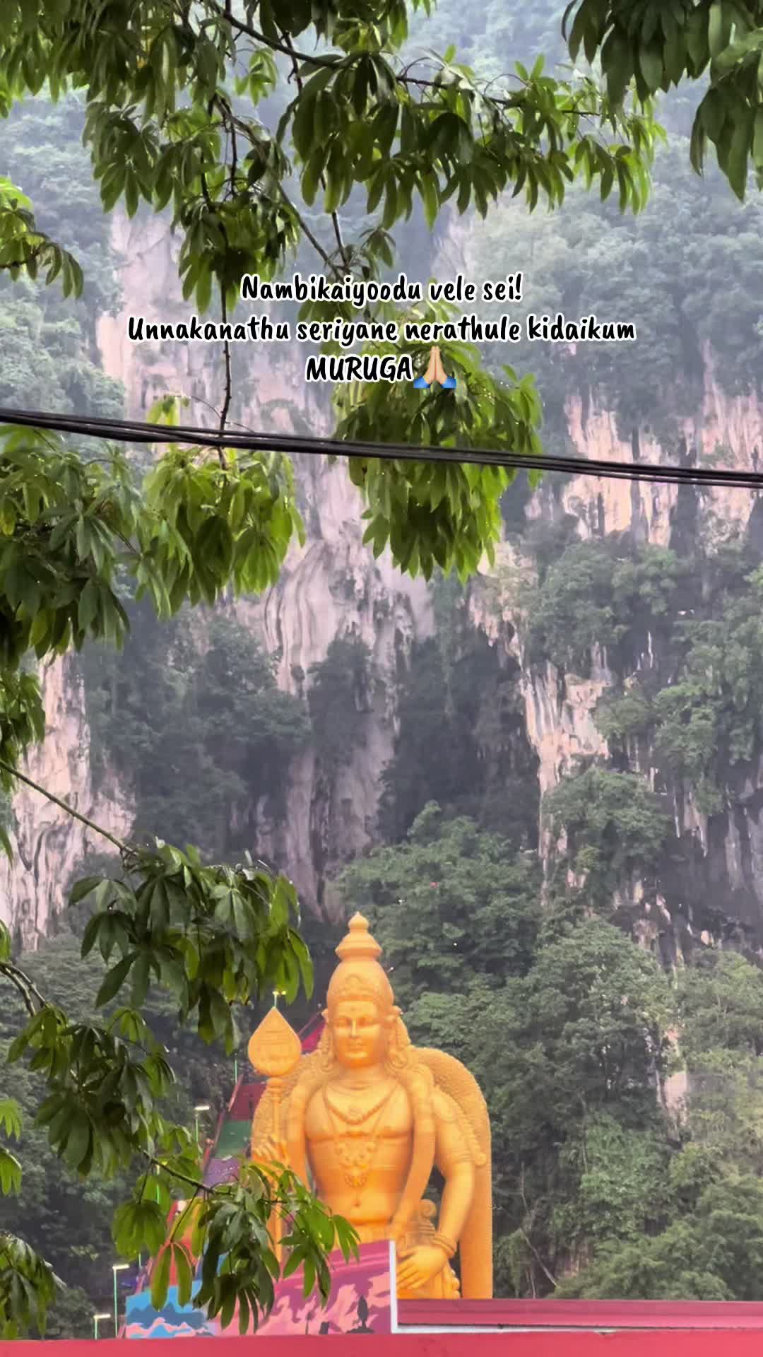 @ashreekha_nagarajan