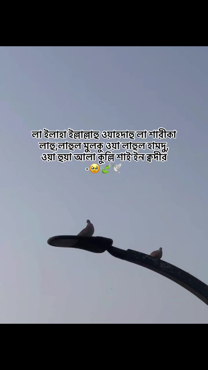 @⋆ 𐙚𝗠𝗔𝗛𝐈𝗥ꫝ_!i🌷🫧
