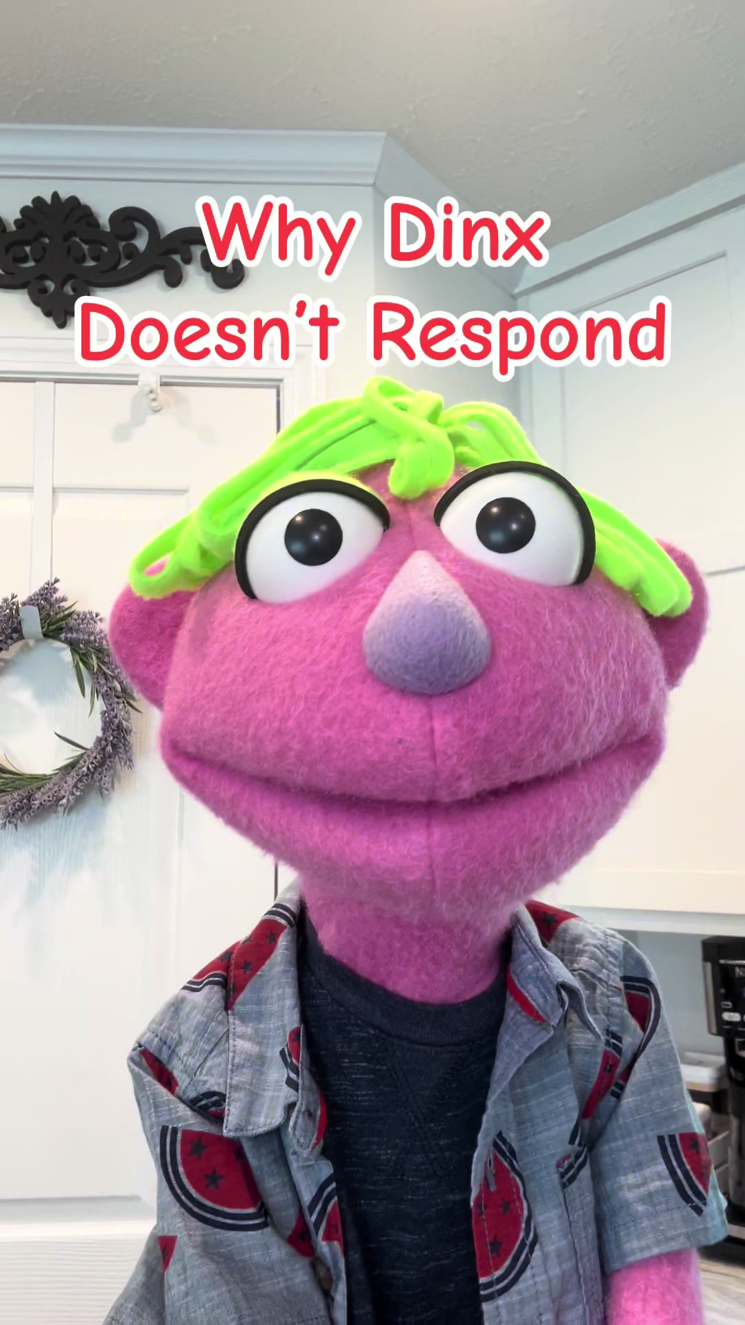 @𝘋𝘪𝘯𝘹 𝘵𝘩𝘦 𝘗𝘶𝘱𝘱𝘦𝘵