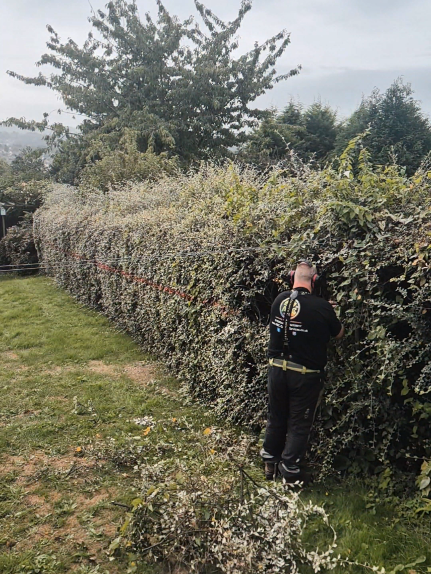 @AMC Garden Services