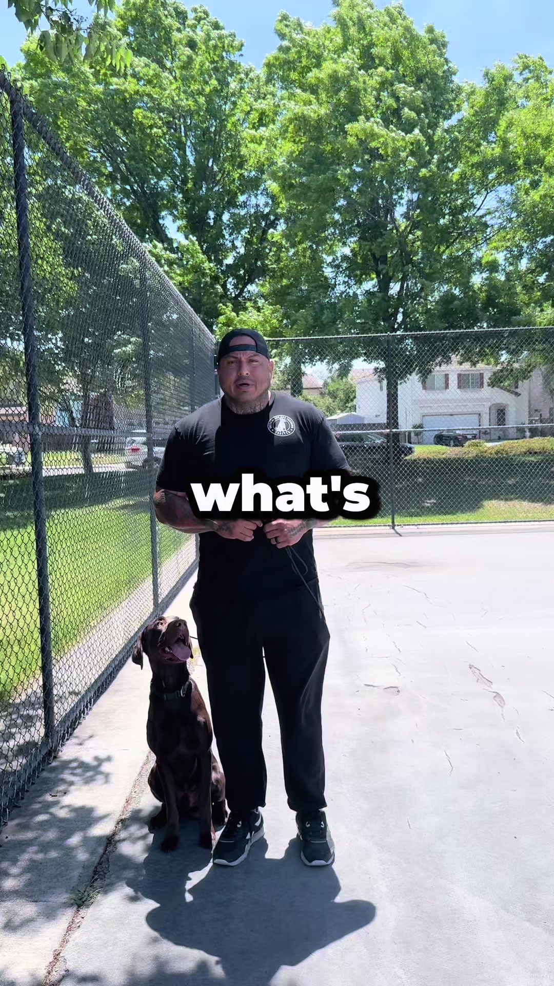 @Tactical K9s Dog Training