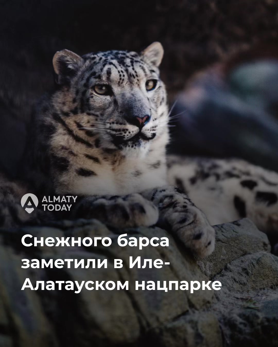 @Almaty Today