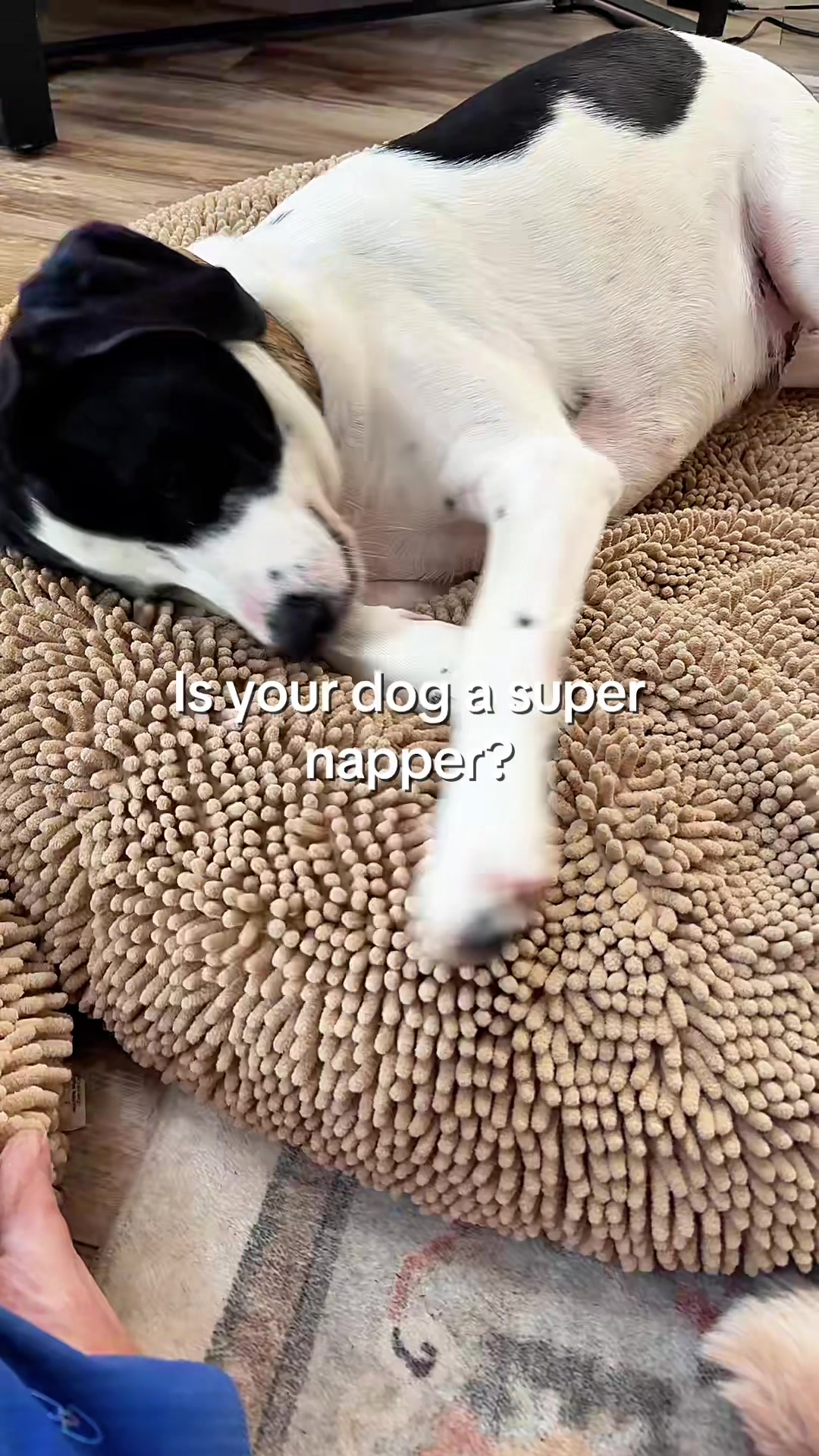 @lovedbyheather