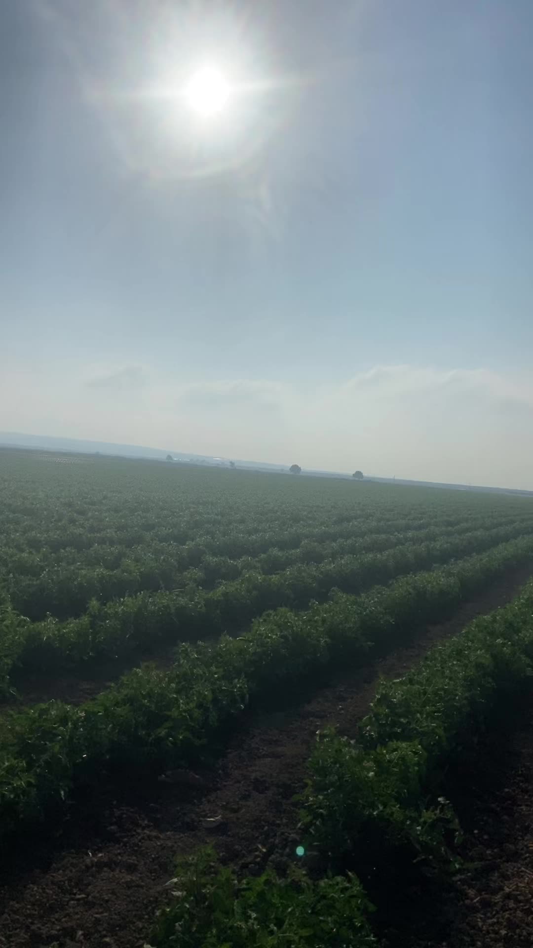 @Eşref_4721