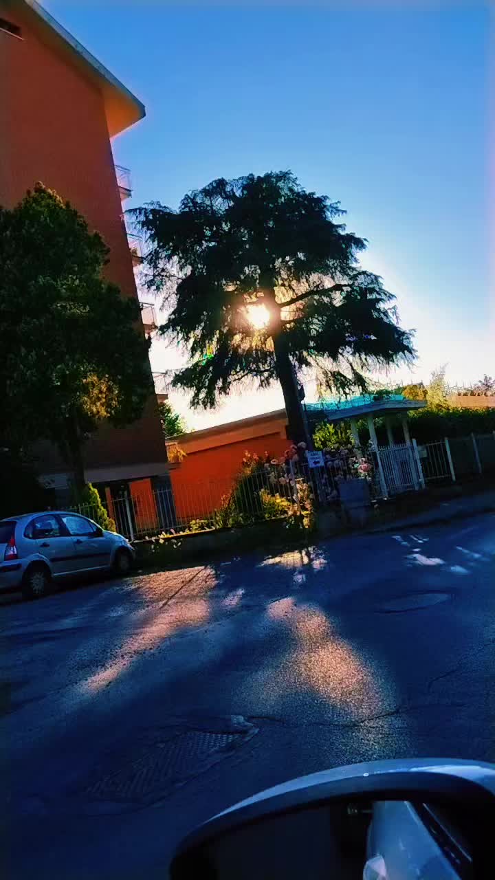@🦁DainoDino🦁