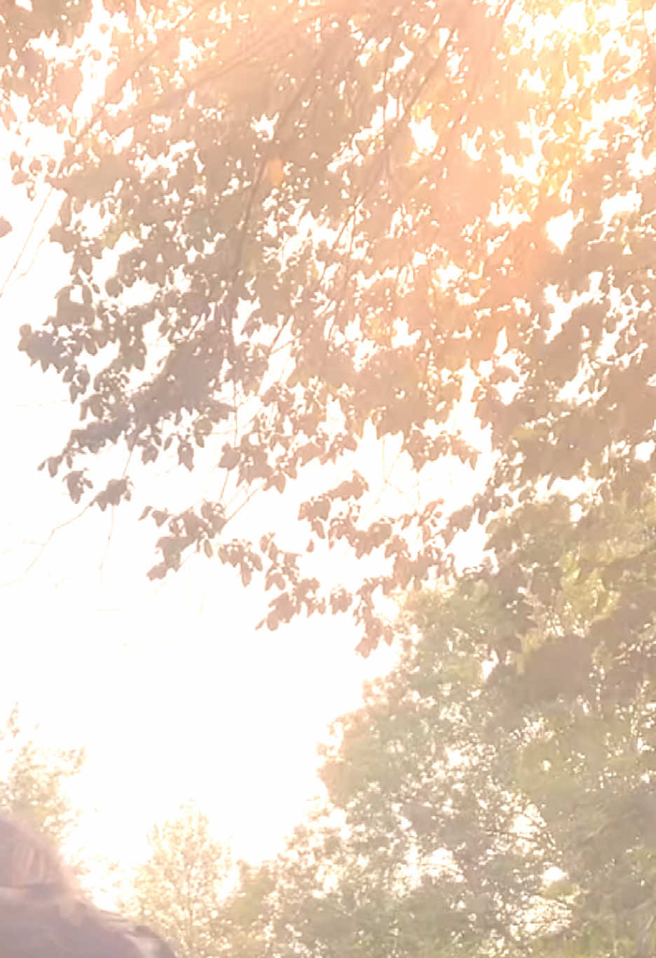 @MY ‘ Lana 40.714627