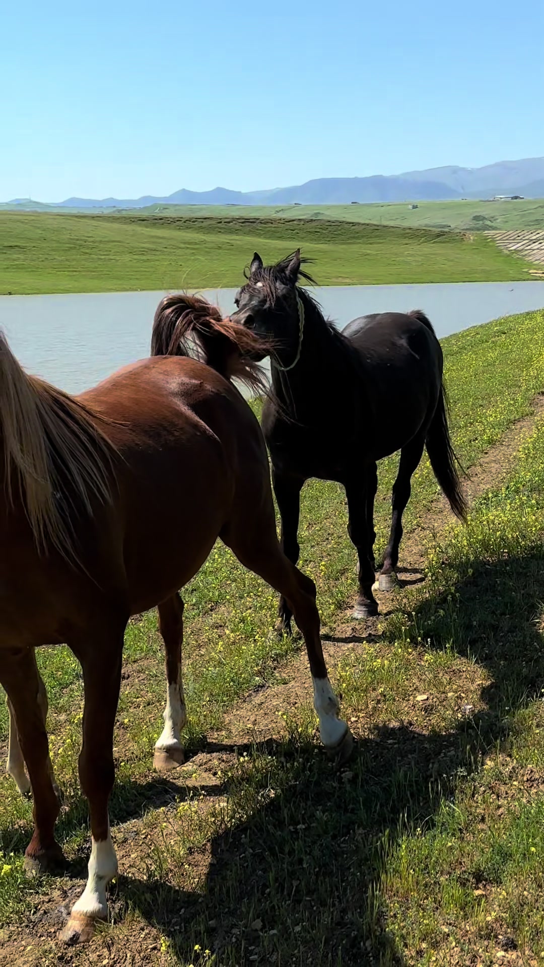 @MakvinStud