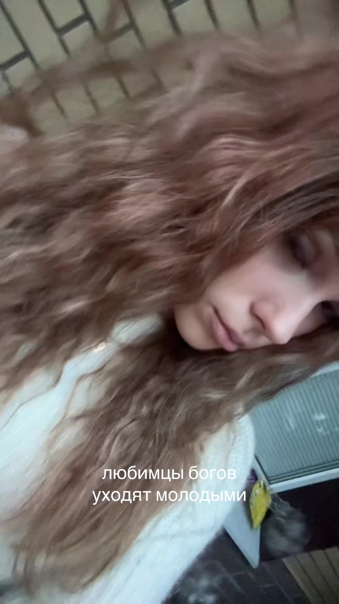 @vikkyqsqw