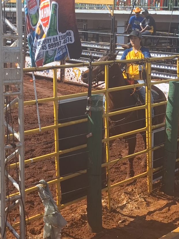 @rodeo