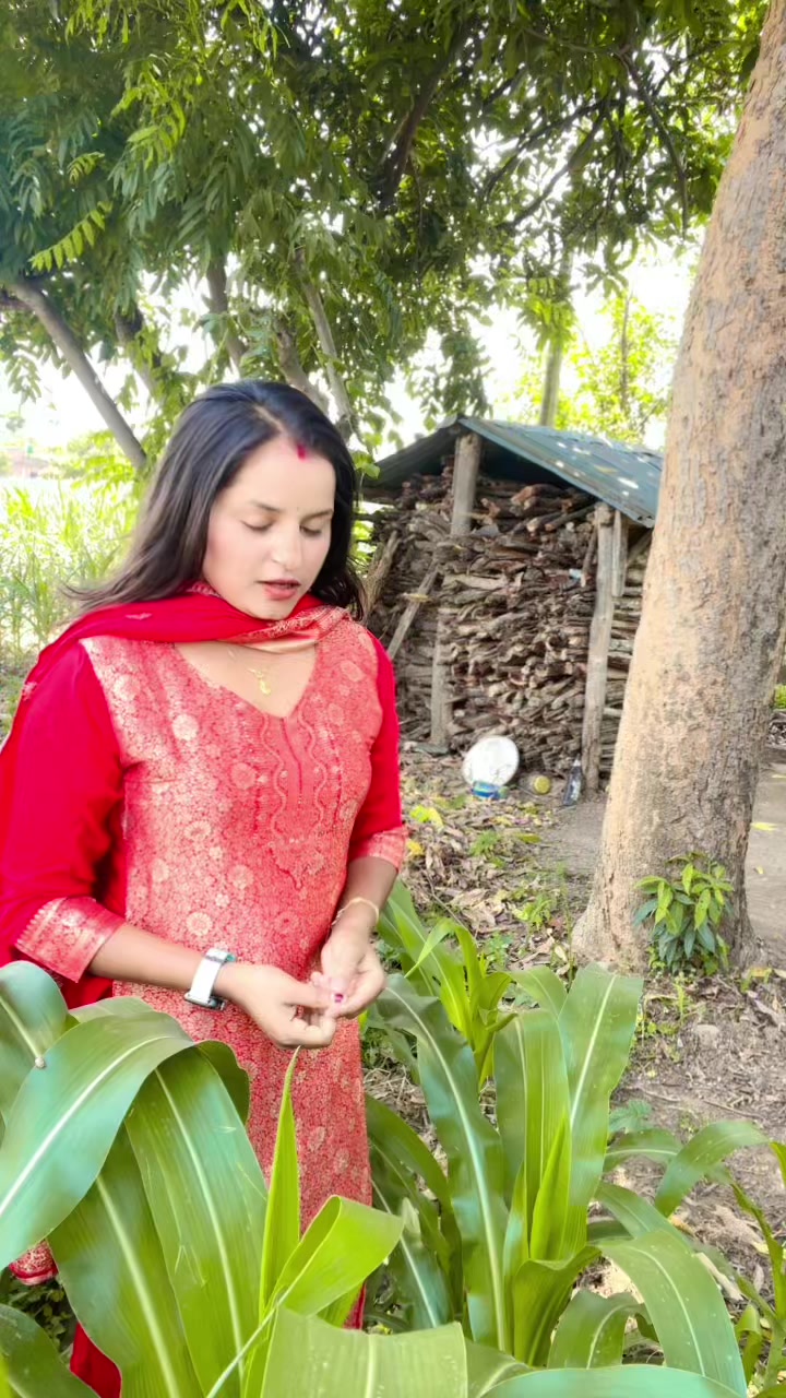 @dipsana