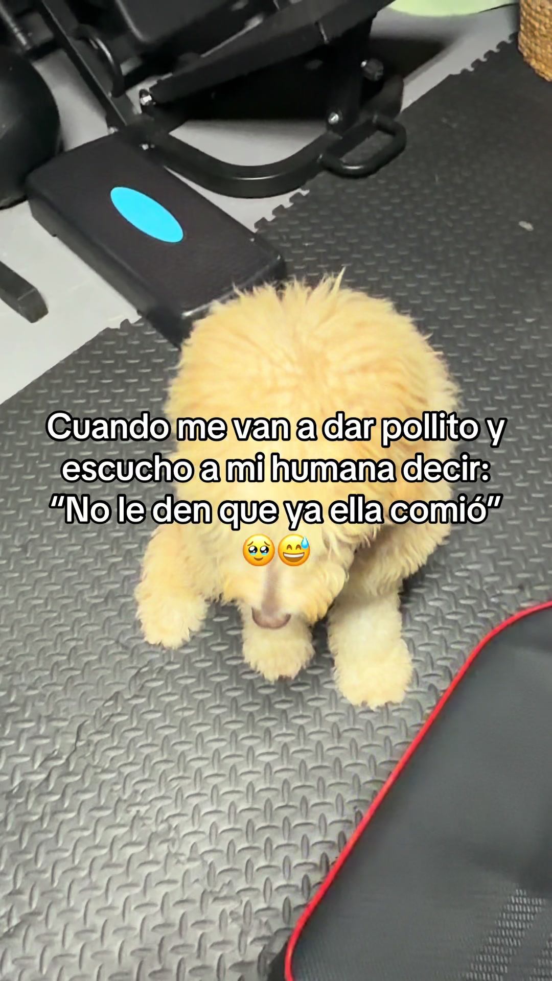 @Oswaldovillamizarm