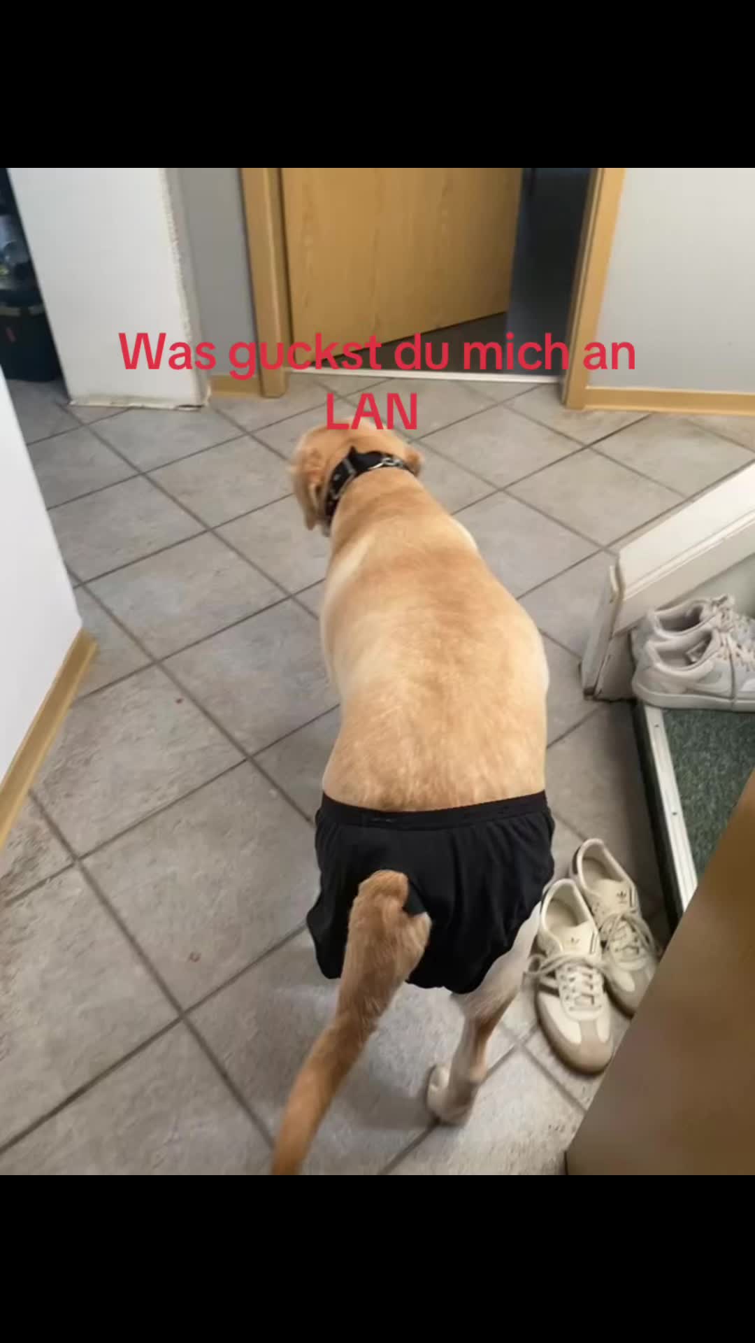 @Maja 🇩🇪💫