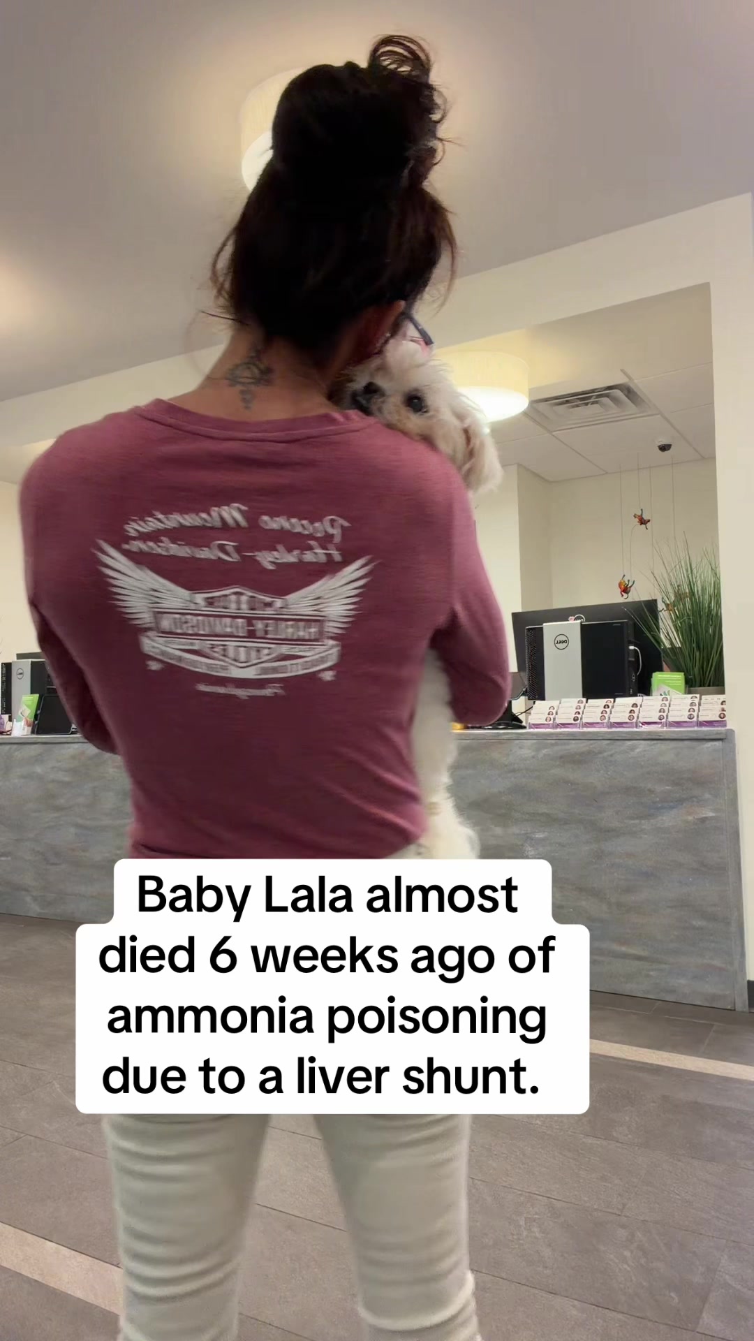 @dogmom76