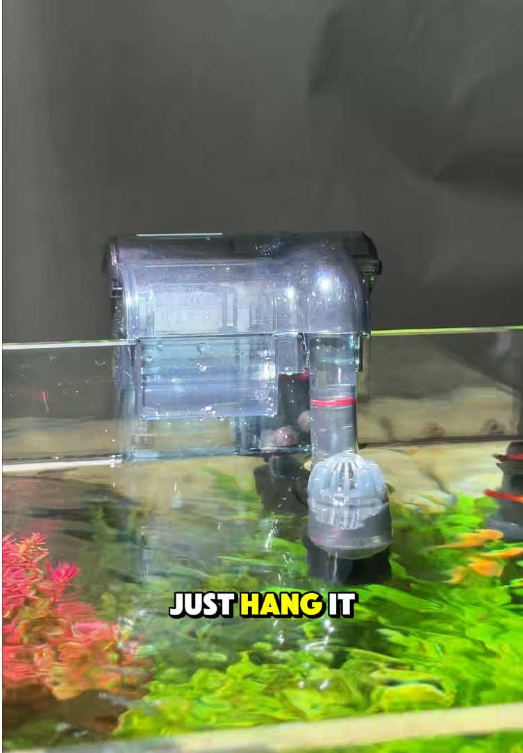 @AQQA Aquarium Store