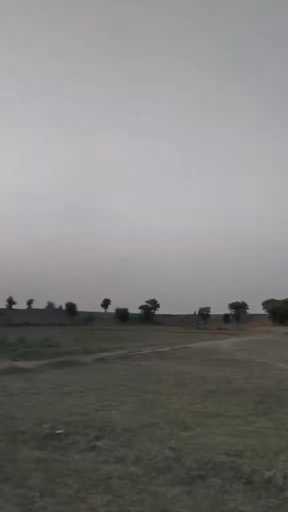@Asadali