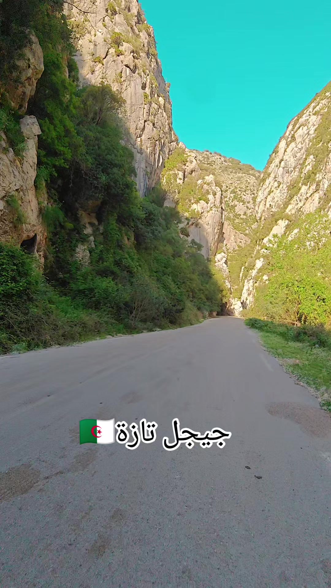 @Into the Wild