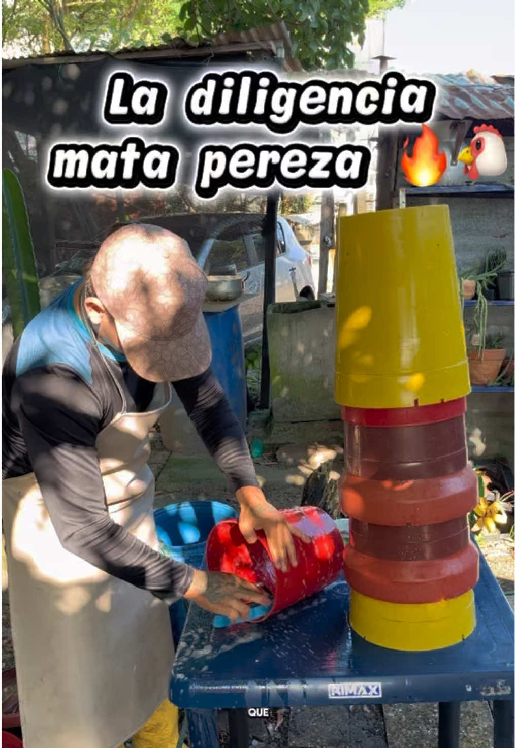 @elmagnatedelospollos